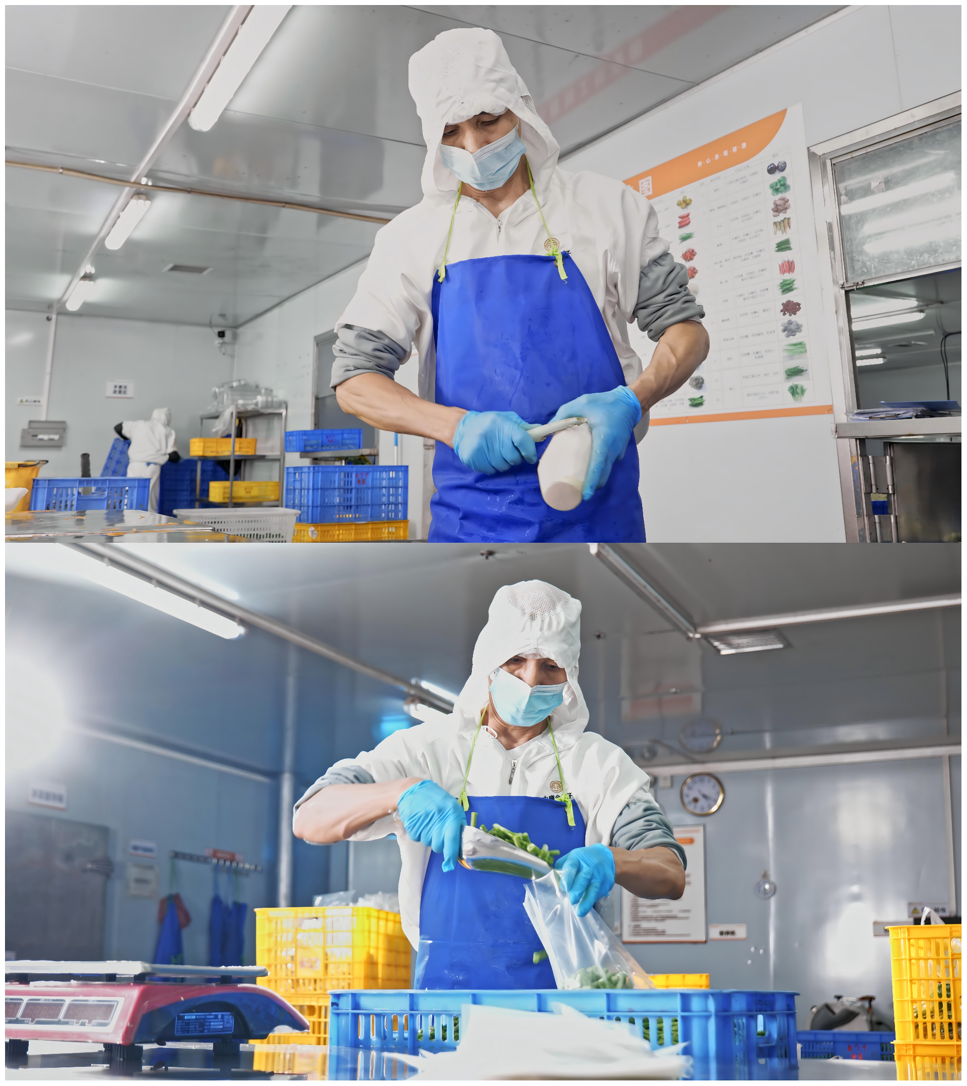 WPS拼圖0.png